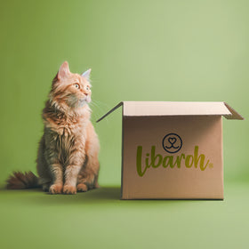 Großes Schnupperpaket für Katzen