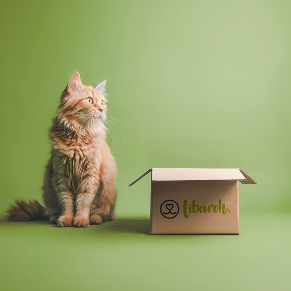 Kleines Schnupperpaket für Katzen Kleines Schnupperpaket für Katzen