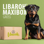 Große Maxibox für Hunde