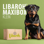 Kleine Maxibox für Hunde