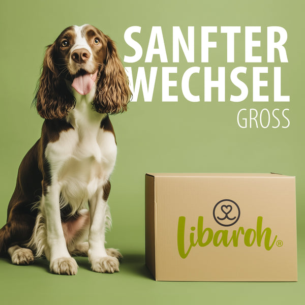 Großes Sanfter-Wechsel-Paket Großes Sanfter-Wechsel-Paket