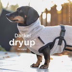 Sand / 30 / Dackel