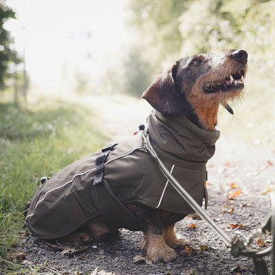 Hundemantel Nordby Dachshund