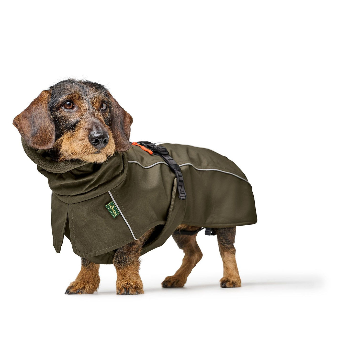 Hundemantel Nordby Dachshund