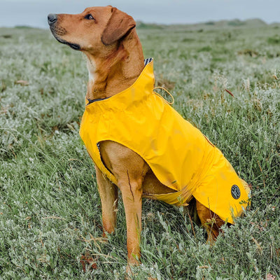 Hunde-Regenmantel Milford (mit Reißverschluss)