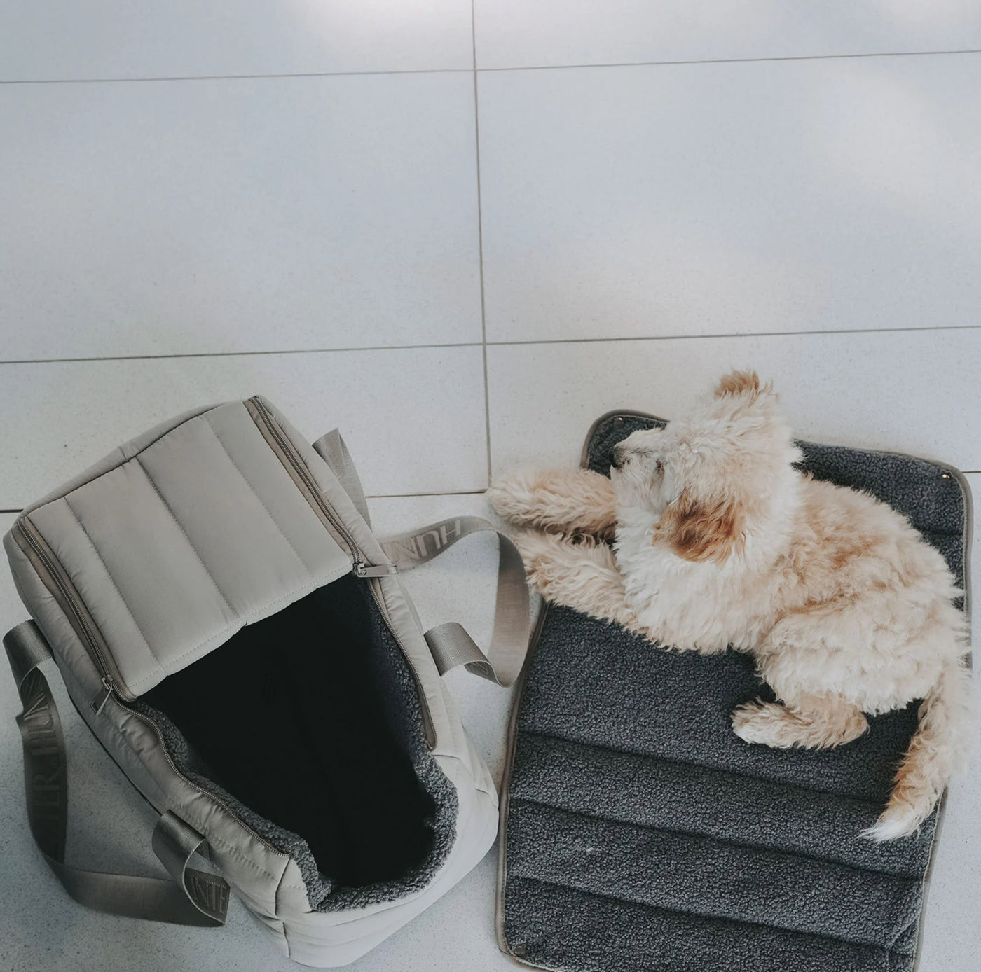 2-in-1 Hunde-Tragetasche und Decke Seoul