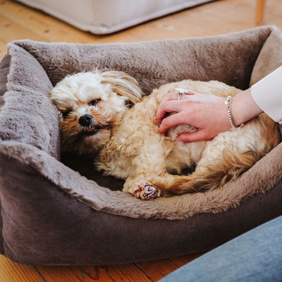 Orthopädisches Hundesofa Rockford