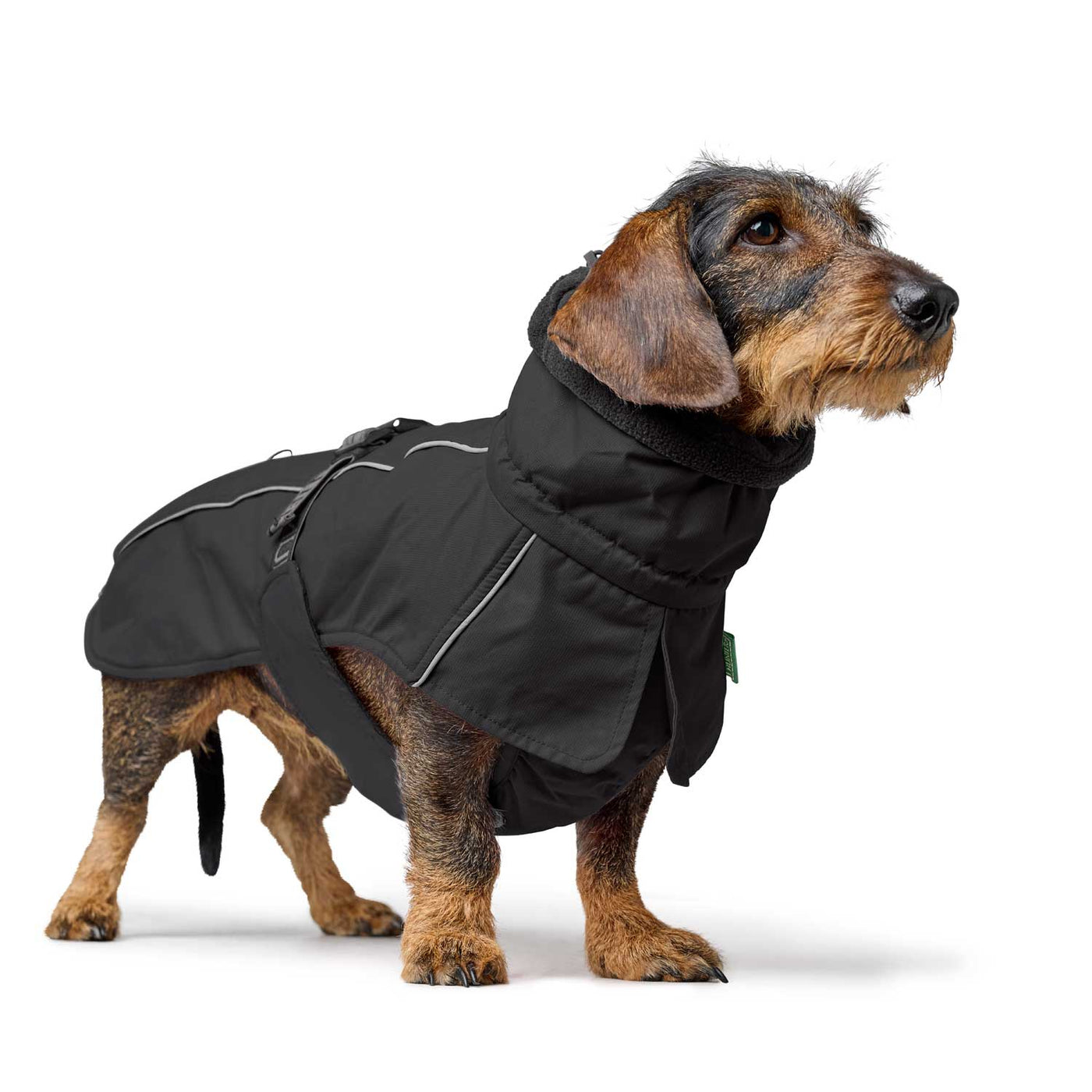 Hundemantel Nordby Dachshund