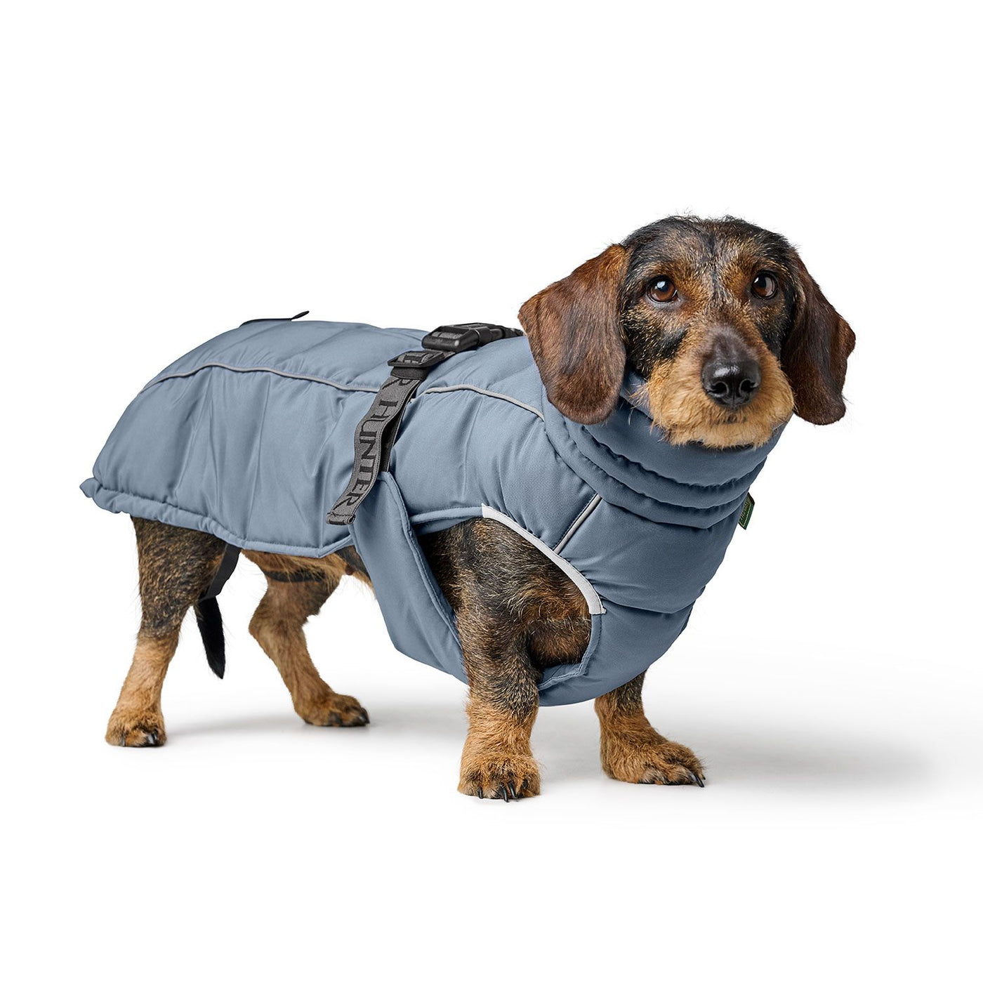 Hundemantel Paxson Dachshund