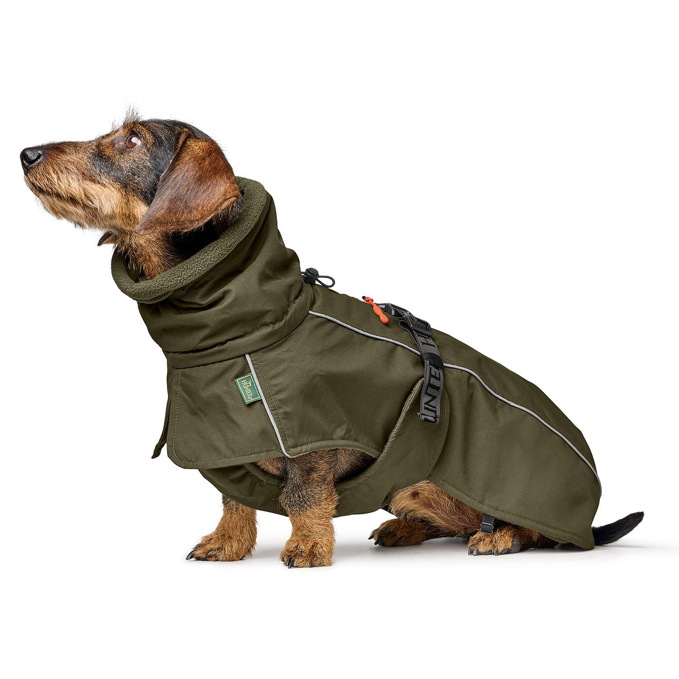 Hundemantel Nordby Dachshund