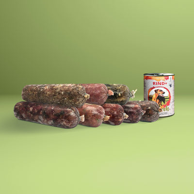Kleines Sanfter-Wechsel-Paket