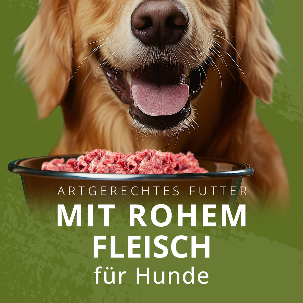 snoop hundespielzeug fressnapf Futterball befüllbar Snoop – Martin Rütter SHOP