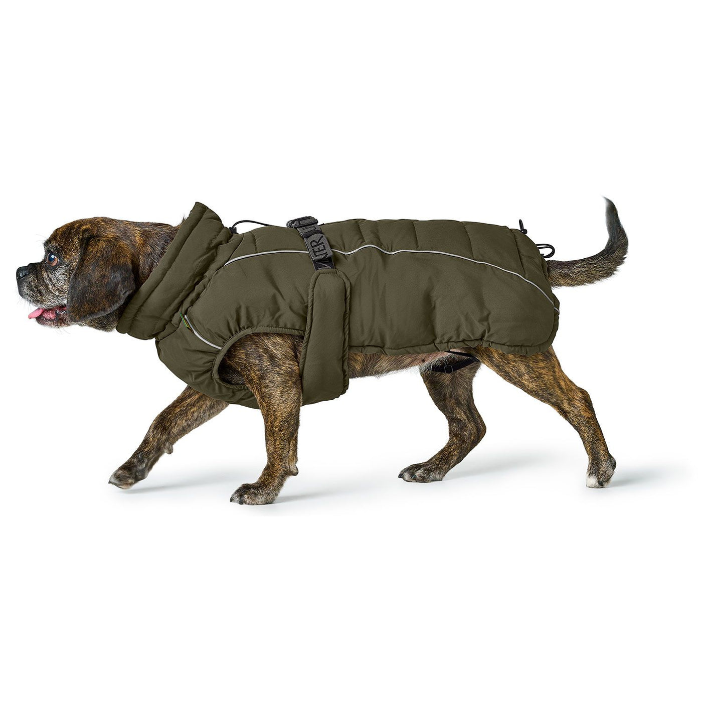 Hundemantel Paxson Mops & Fr. Bulldogge