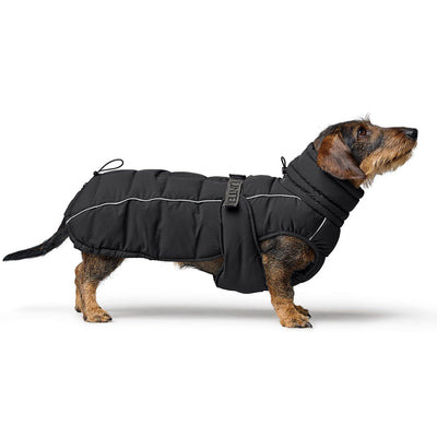 Hundemantel Paxson Dachshund
