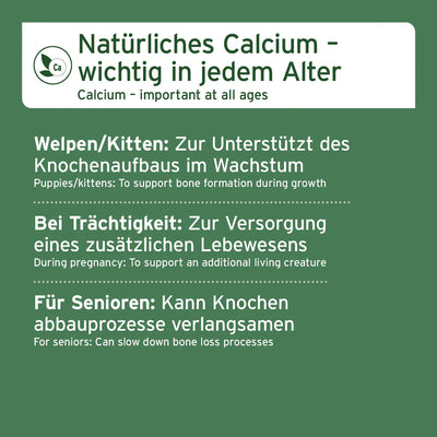 Gemahlene Knochen vom Rind