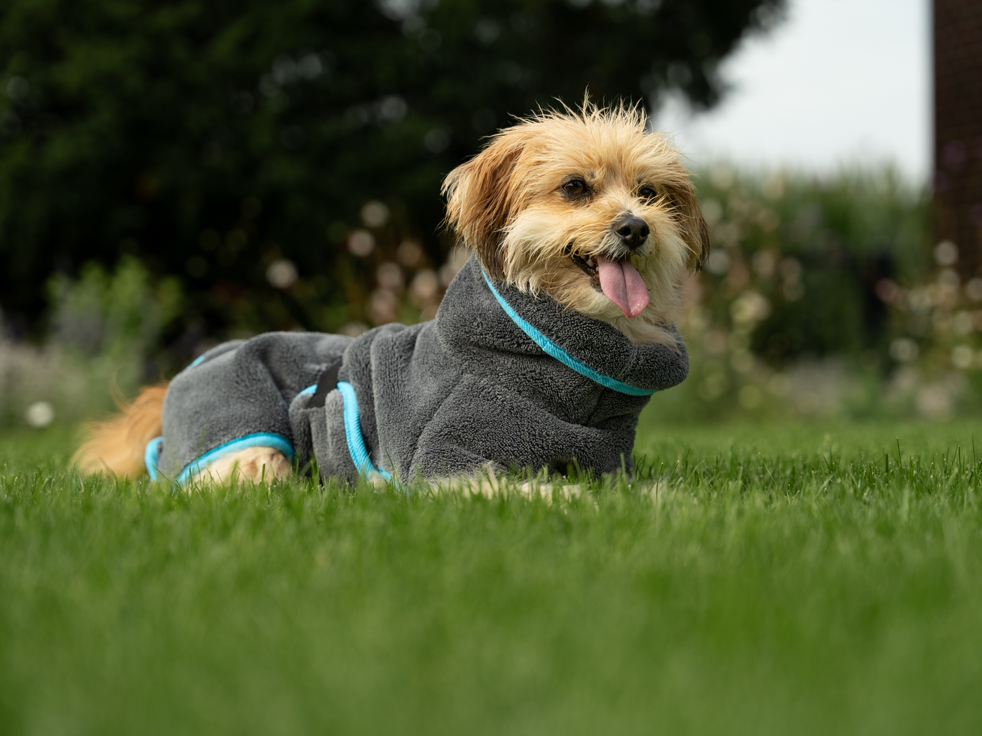 Dampfhund Bademantel