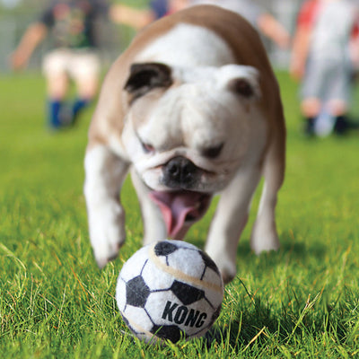 Hundespielzeug KONG® Sport Balls