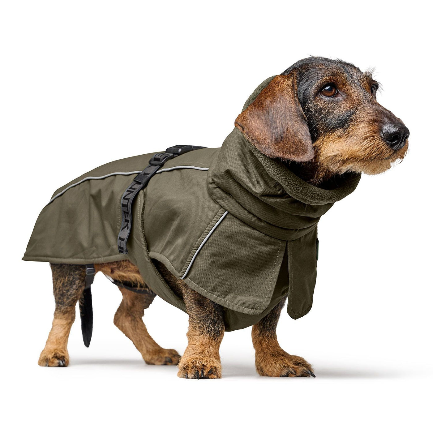 Hundemantel Nordby Dachshund