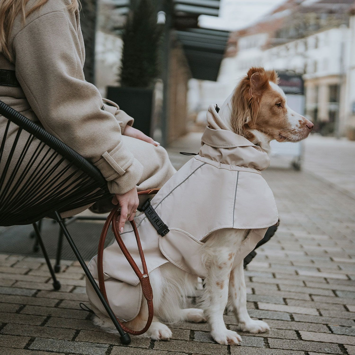 Hundemantel Nordby