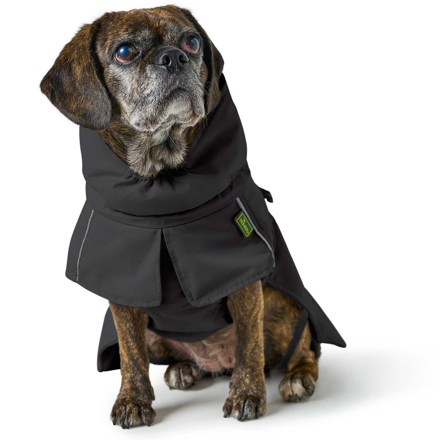 Hundemantel Nordby Mops & Fr. Bulldogge