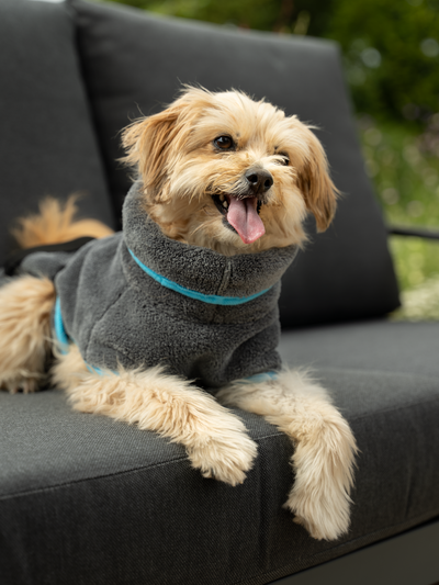 Dampfhund Bademantel