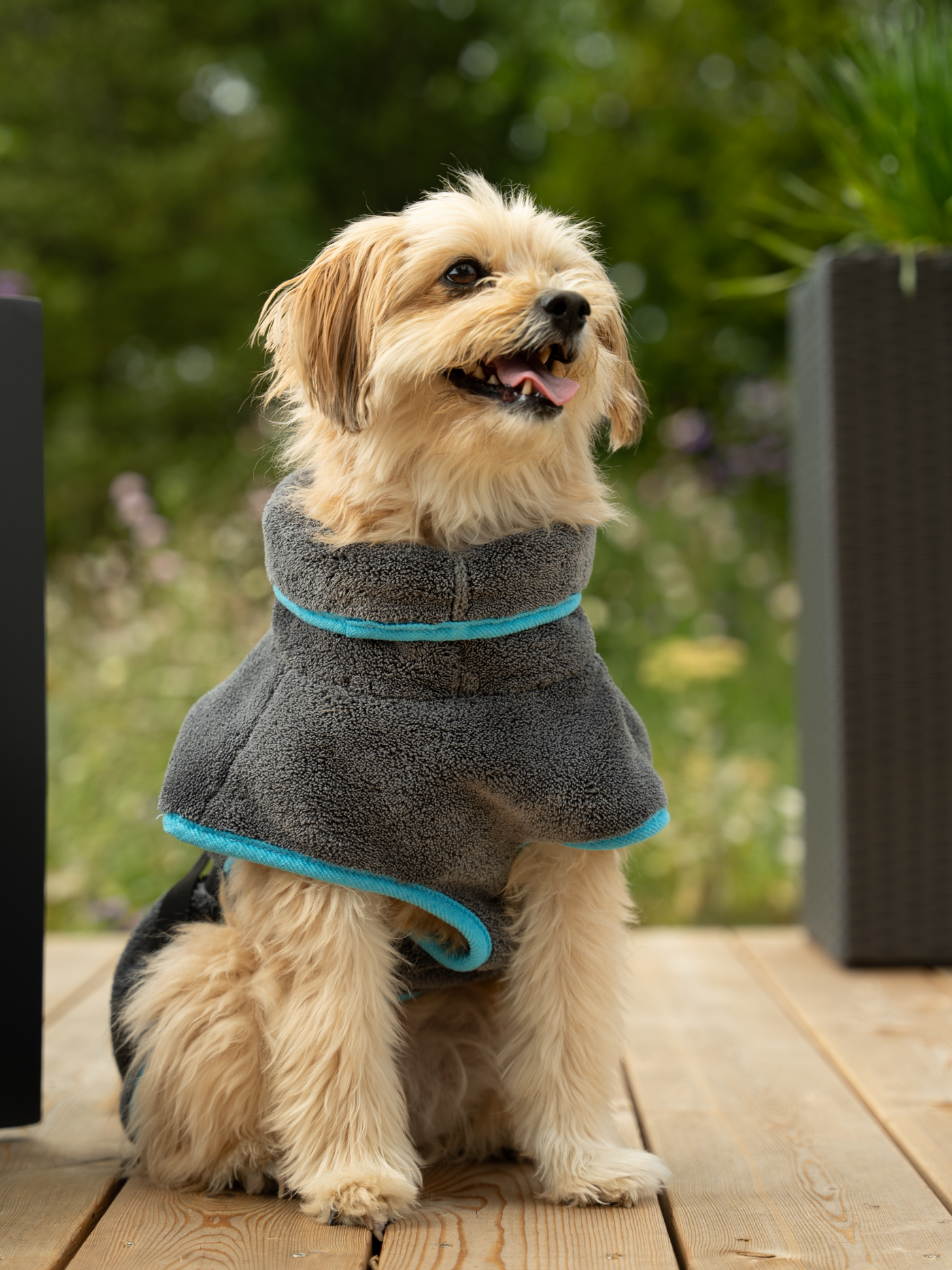 Dampfhund Bademantel