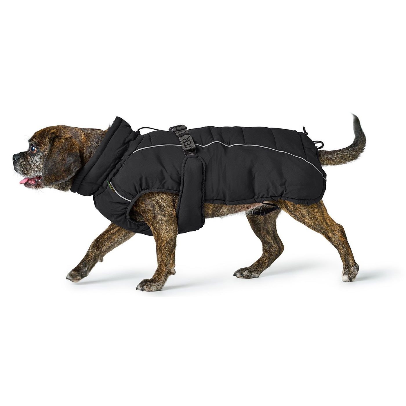 Hundemantel Paxson Mops & Fr. Bulldogge