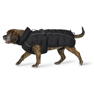 Hundemantel Paxson Mops & Fr. Bulldogge