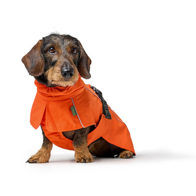 Hundemantel Nordby Dachshund