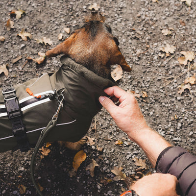 Hundemantel Nordby Dachshund