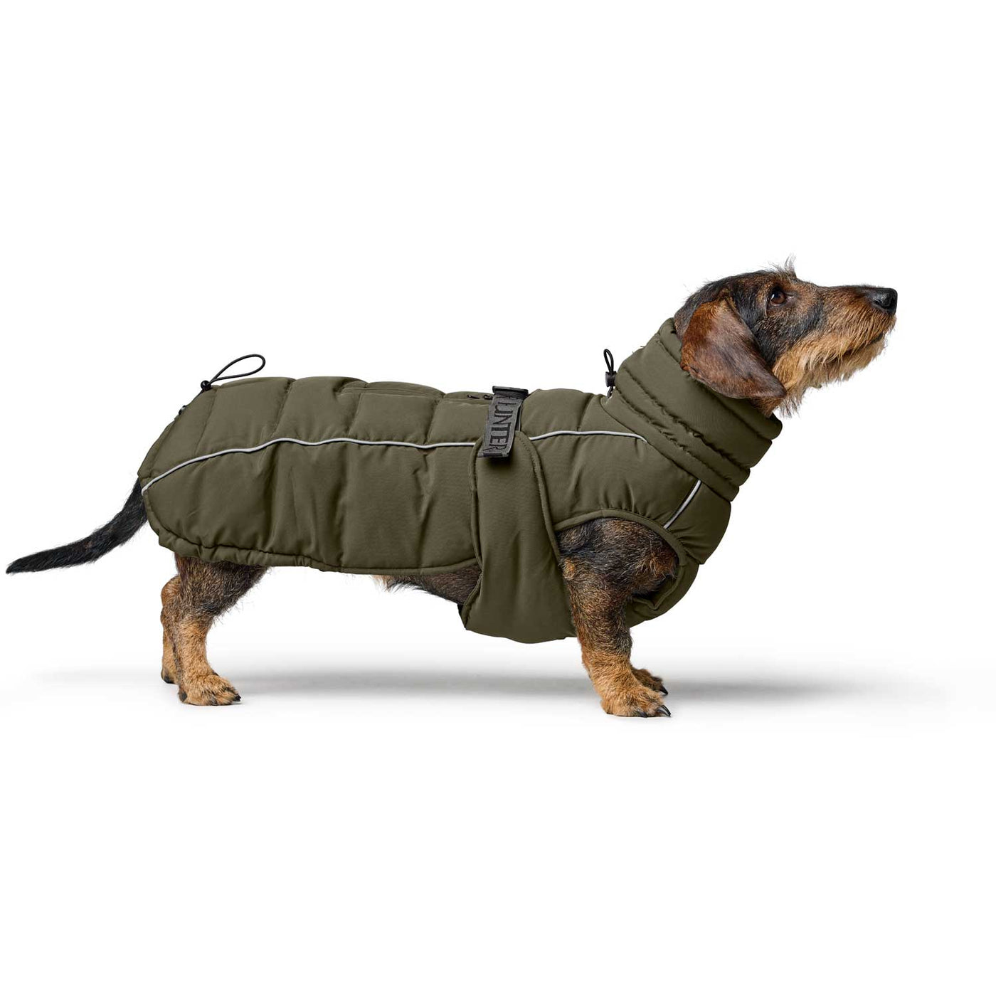 Hundemantel Paxson Dachshund