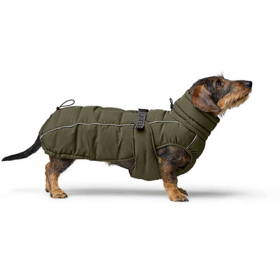 Hundemantel Paxson Dachshund