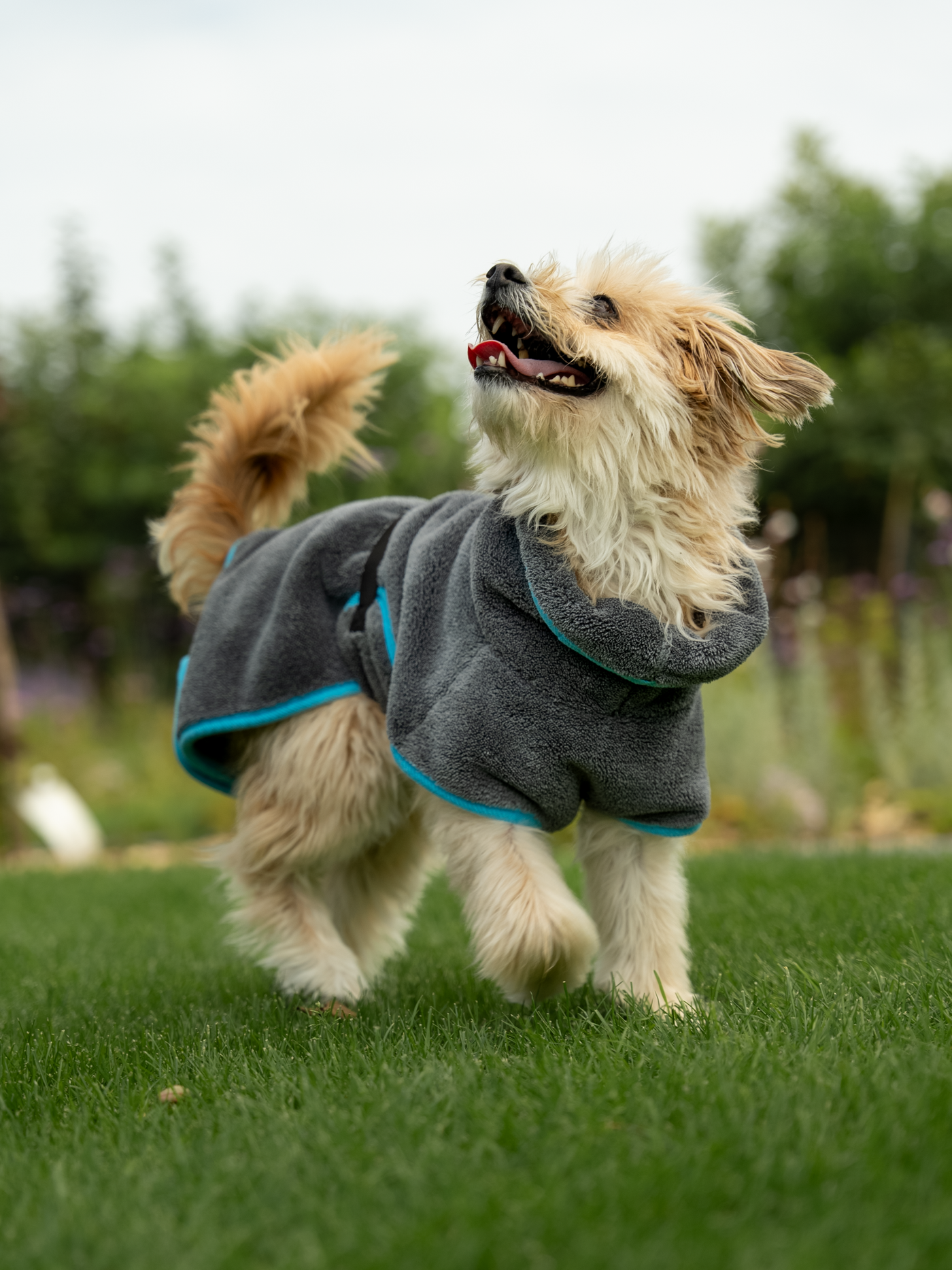 Dampfhund Bademantel