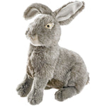 Hase