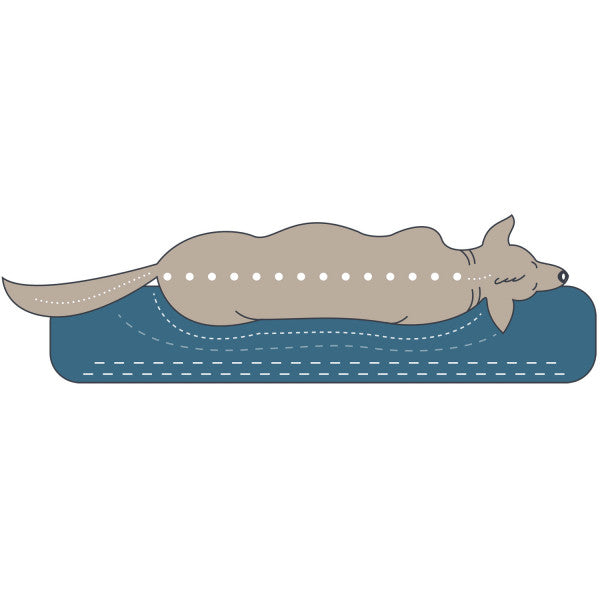 Orthopädisches Hundesofa Livingston