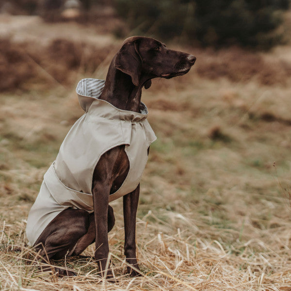 Hunde-Regenmantel Milford